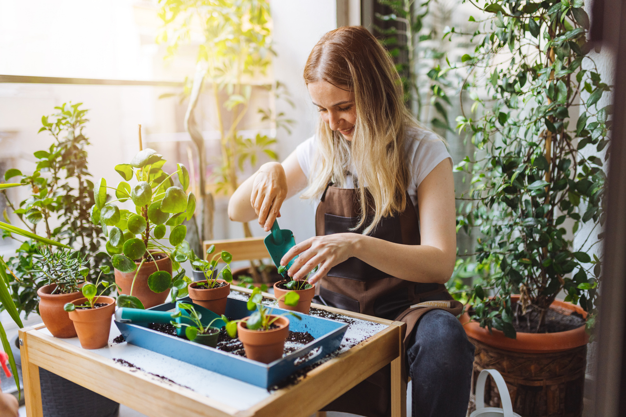 Scopri la bellezza della primavera con il giardinaggio!