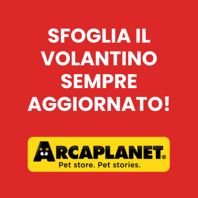 VOLANTINO ARCAPLANET